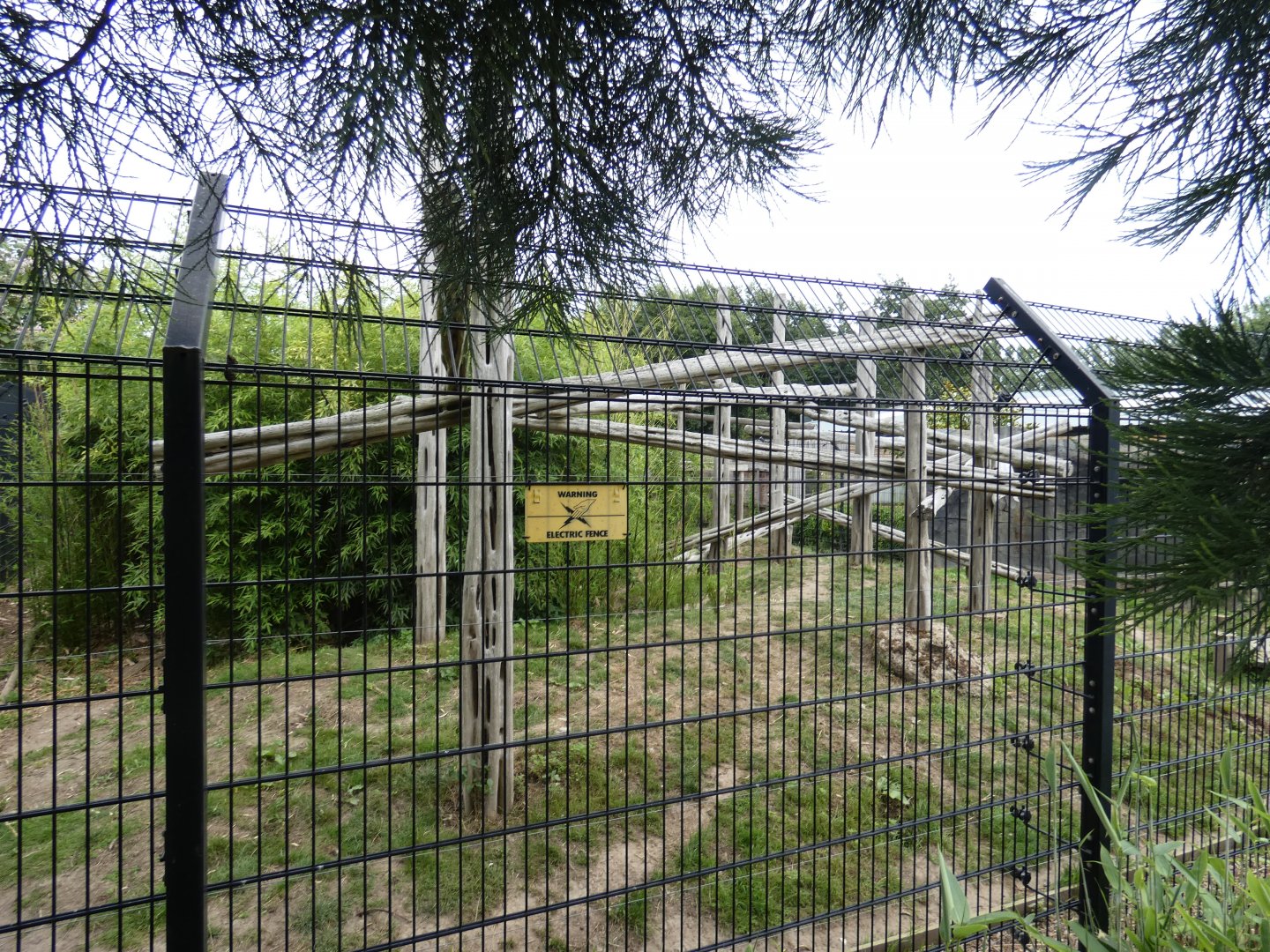 'Arctic' Wolf enclosure