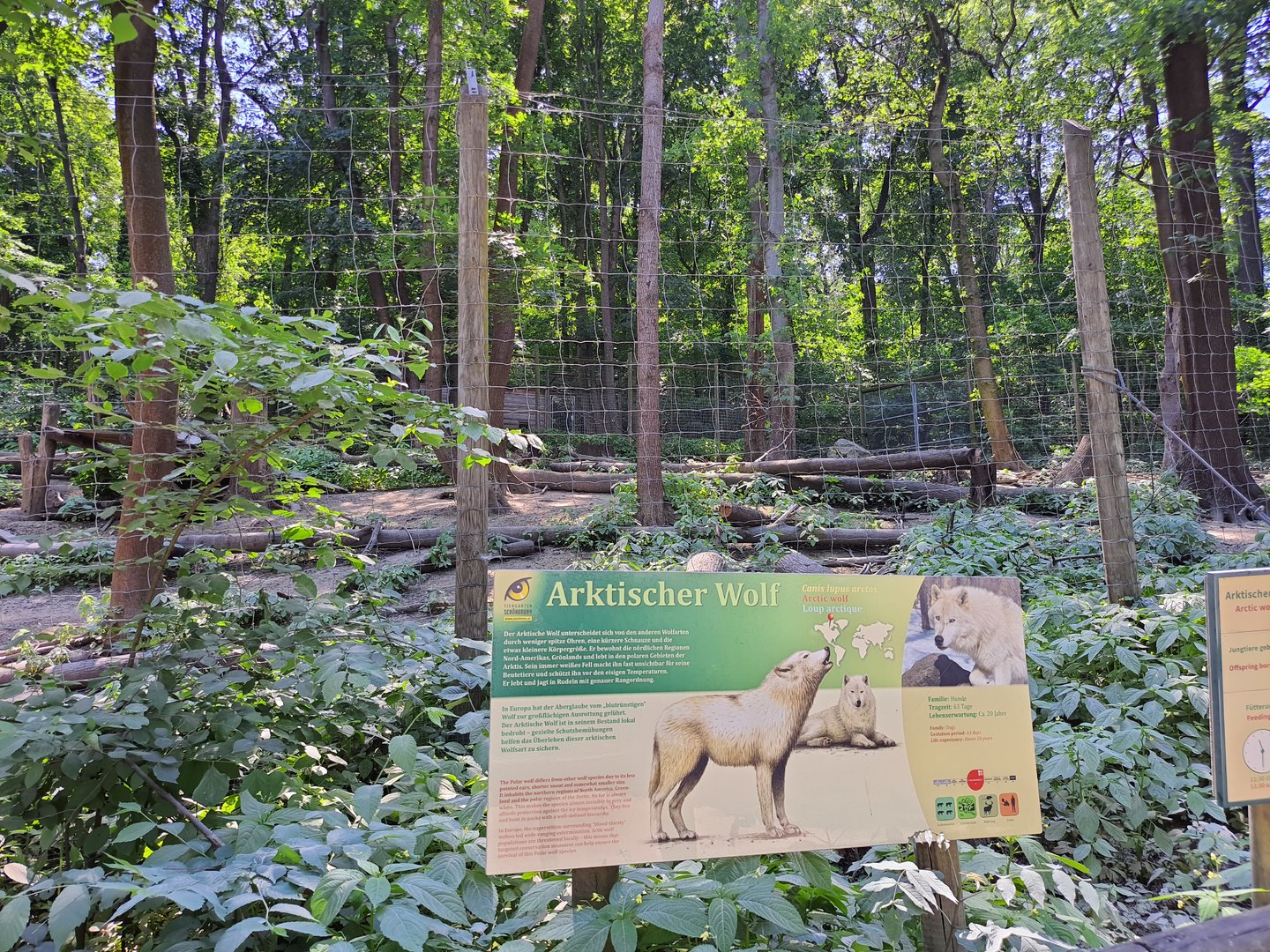 Arctic wolf enclosure
