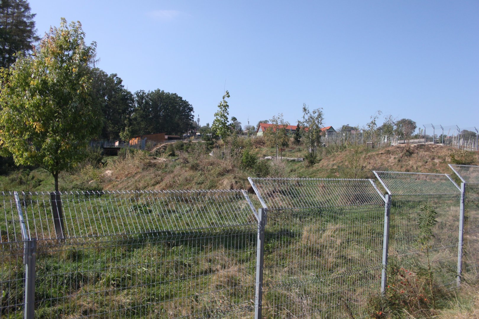 Arctic wolf exhibit - view from the left side