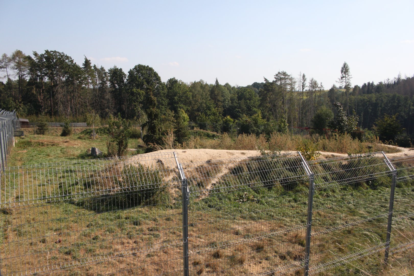 Arctic wolf exhibit - view from the right side