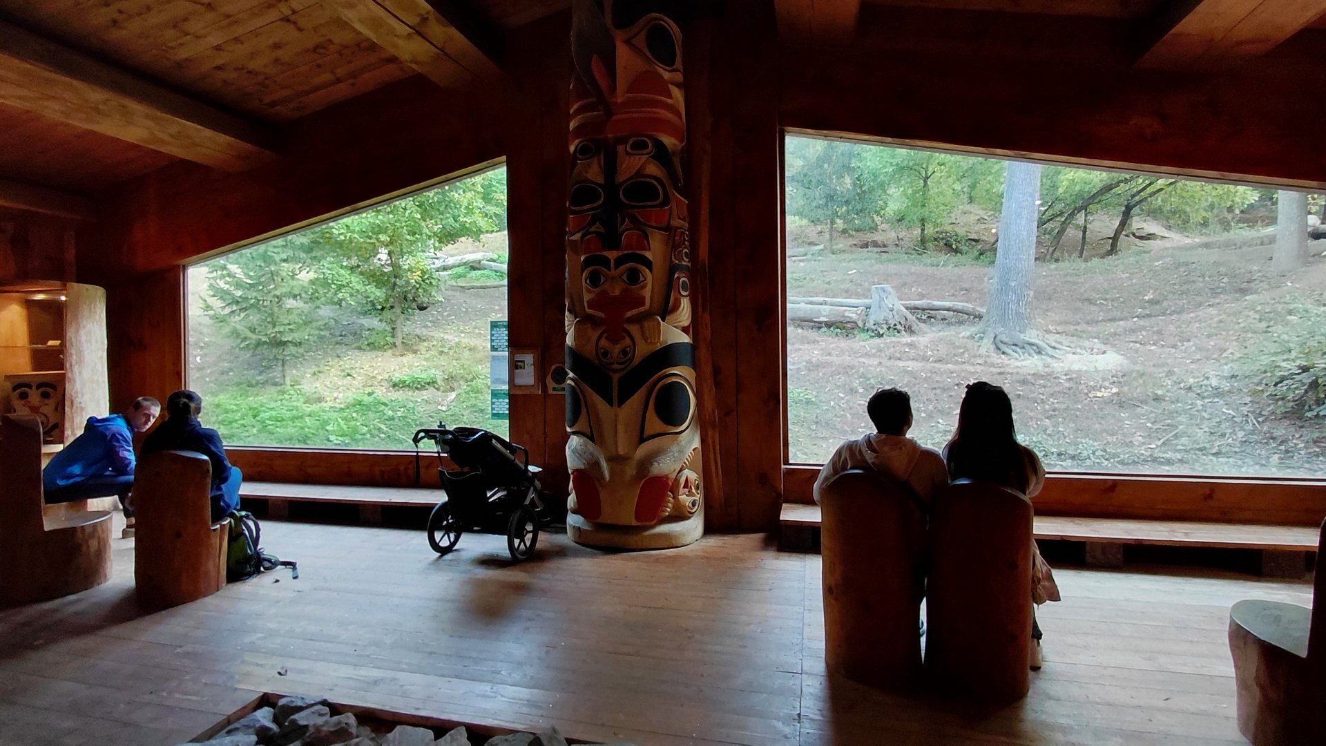 Arctic wolf exhibit - viewing area