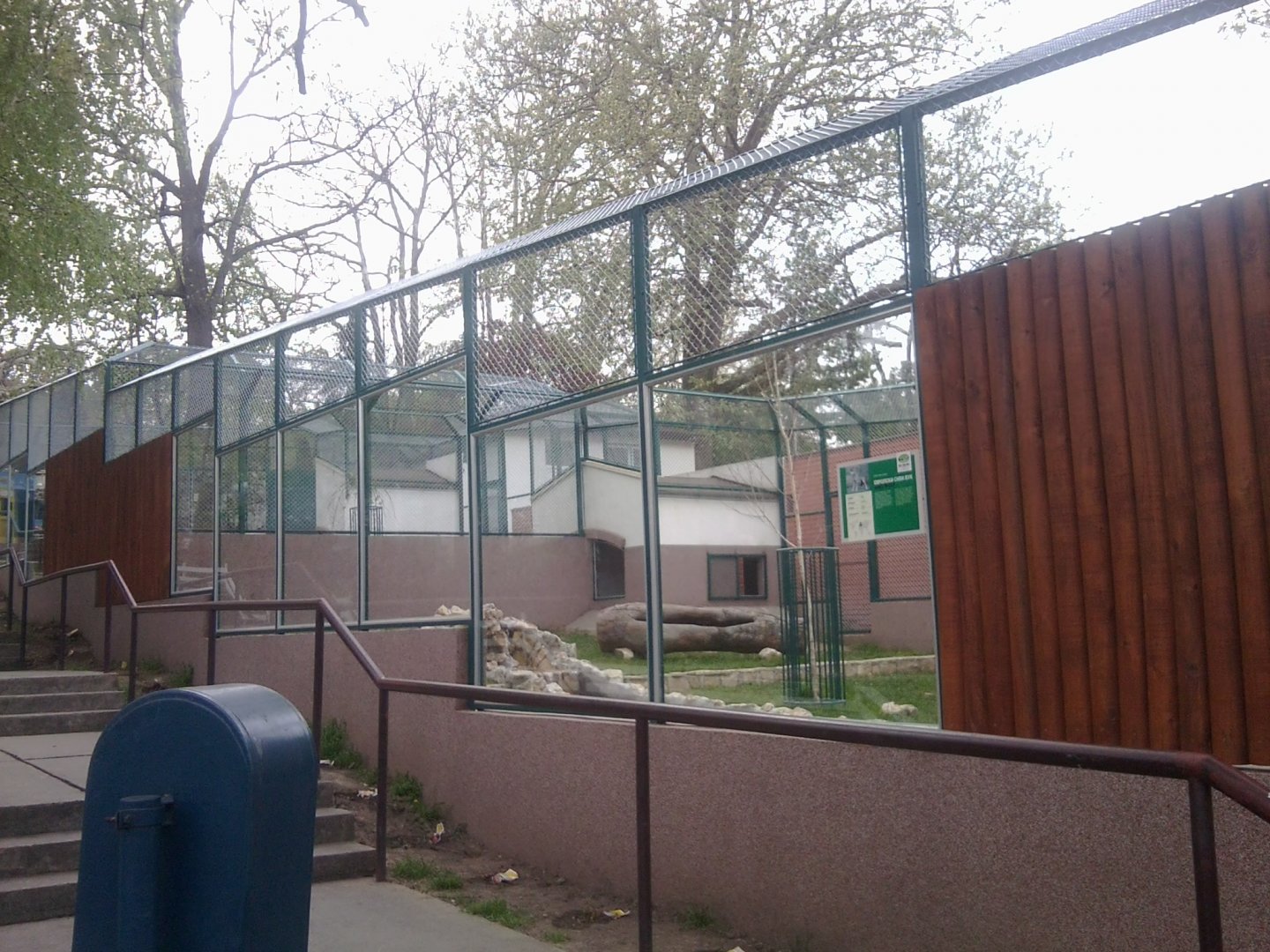 Arctic wolf new exhibit