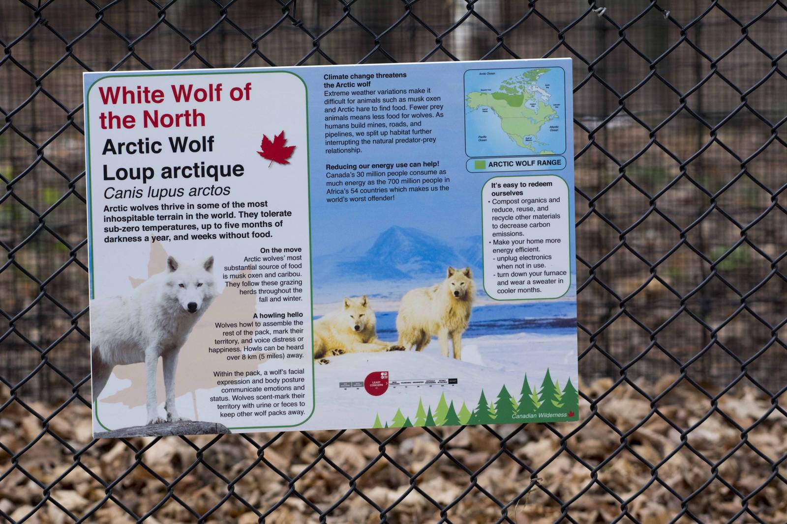 Arctic Wolf Signage