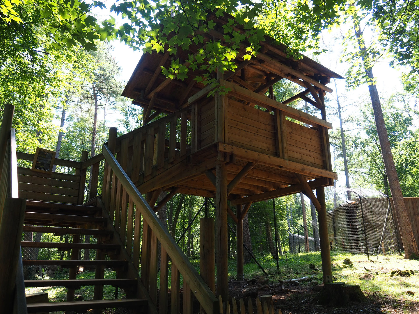 Arctic wolf viewing area, 2020-07-12
