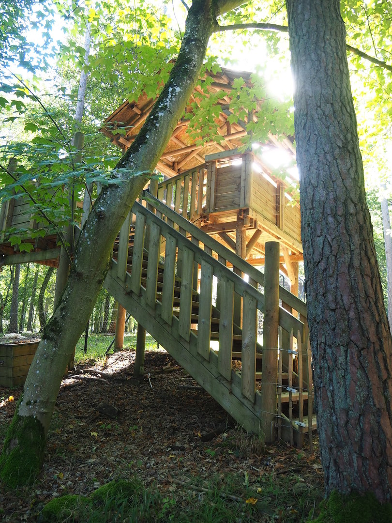 Arctic wolf viewing area, 2023-09-26