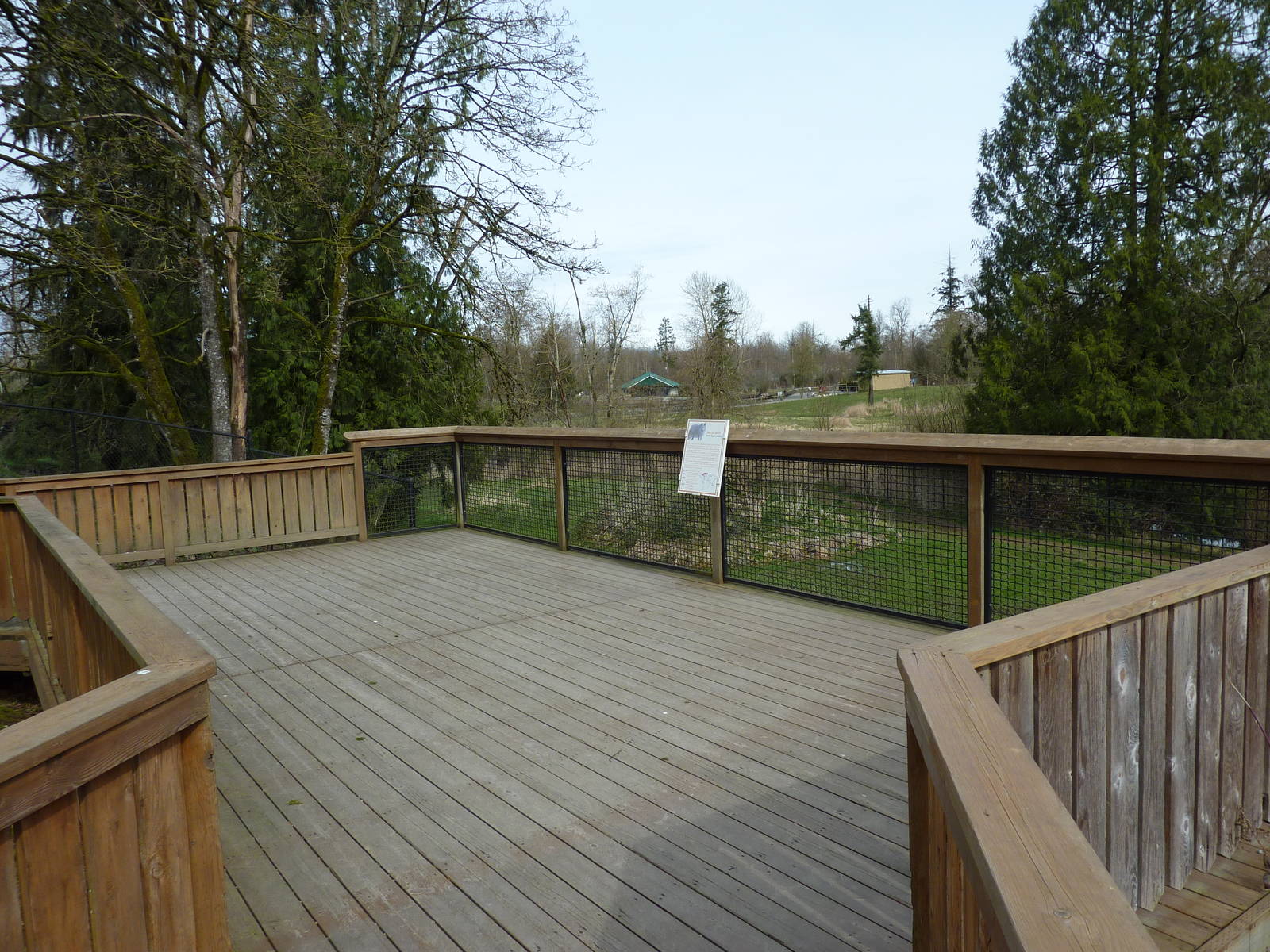 Arctic Wolf Viewing Platform