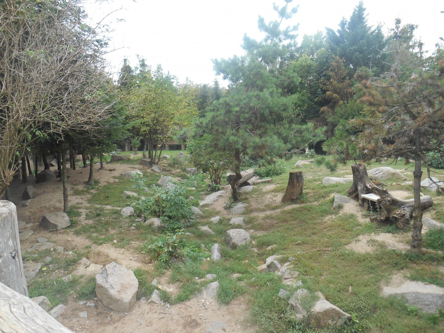 Arctic Wolves Exhibit