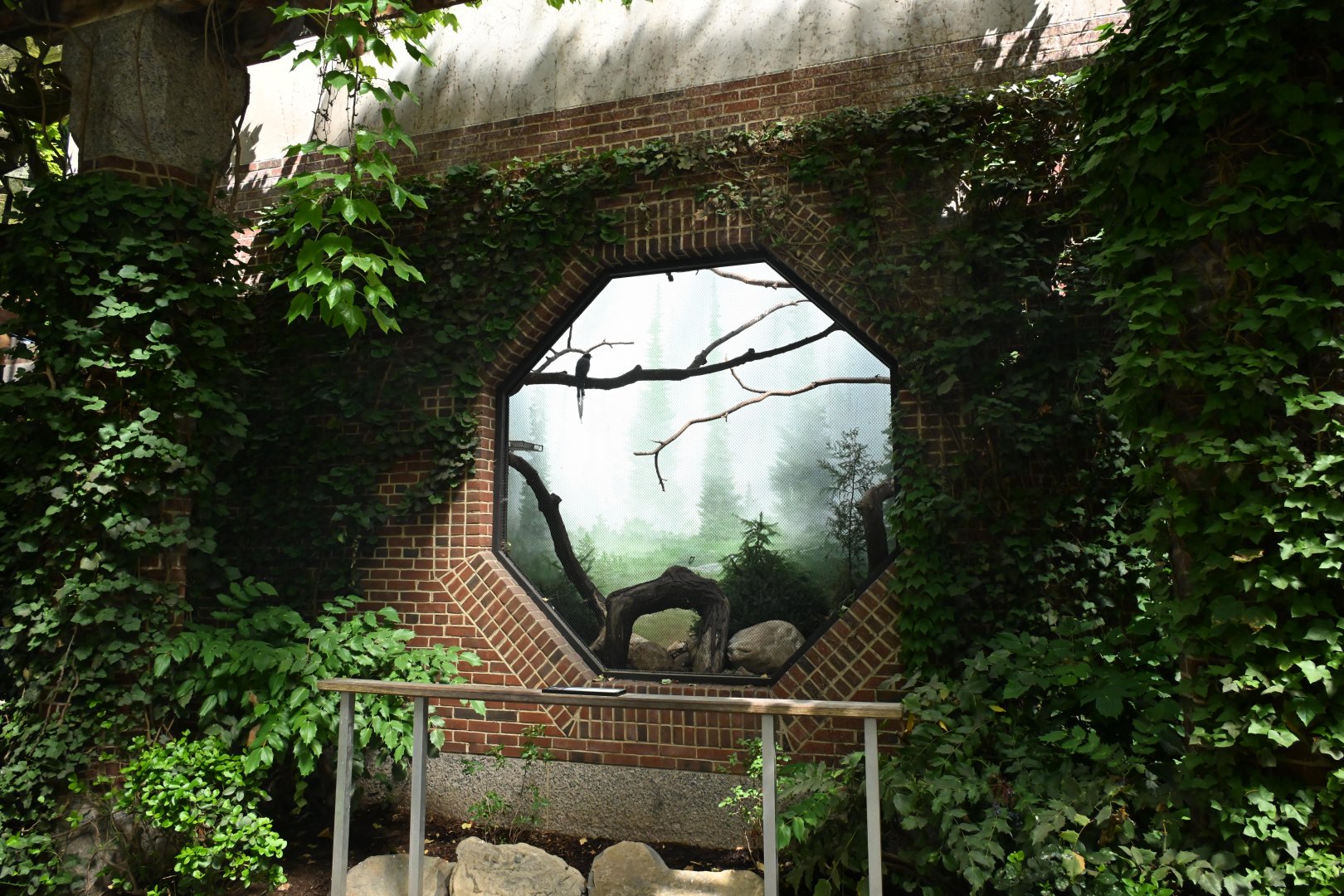 Arctic Zone - Red-billed Blue-Magpie (Urocissa erythroryncha) Exhibit