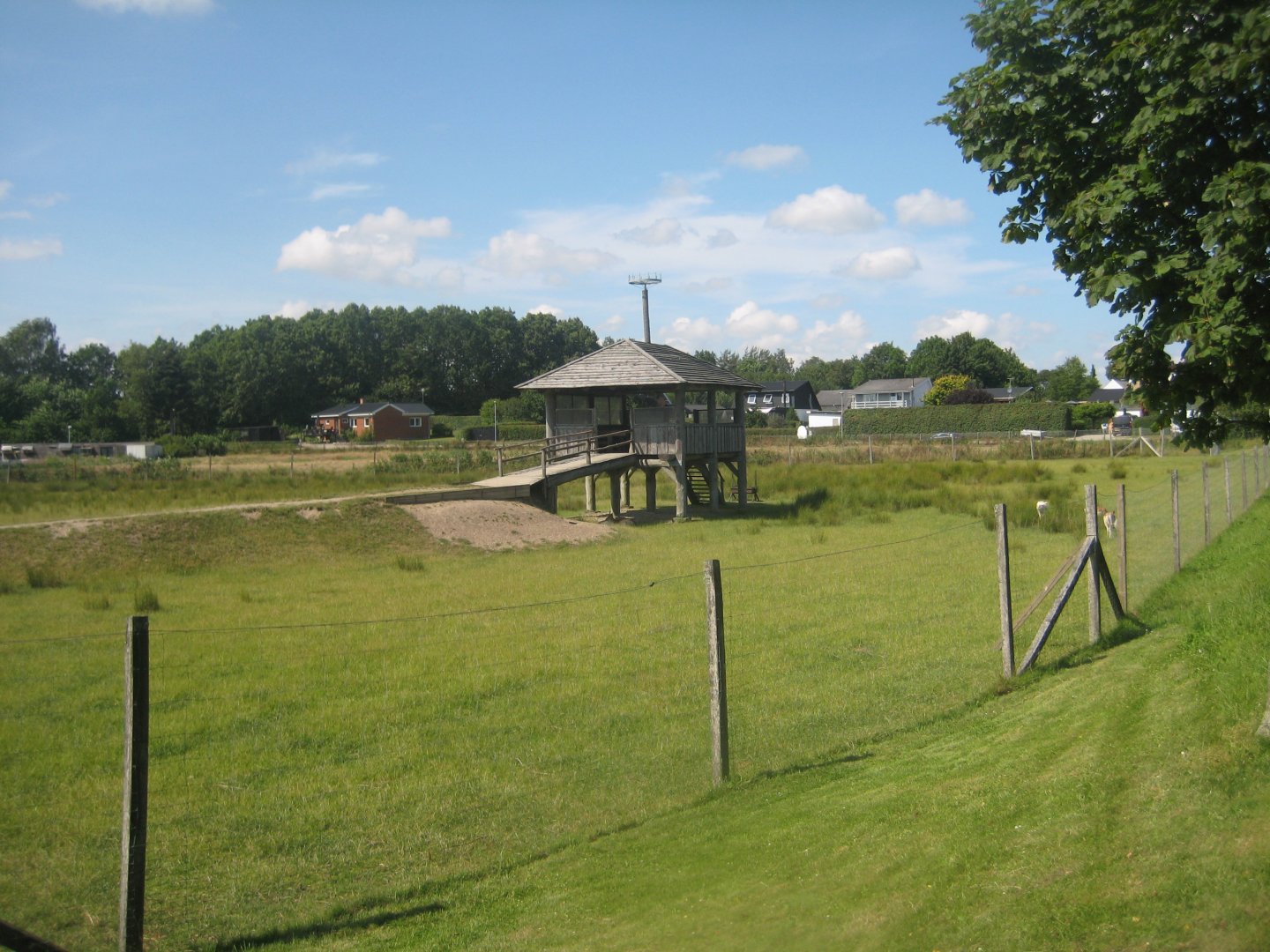 Arden Dyrepark - Deer exhibit #1