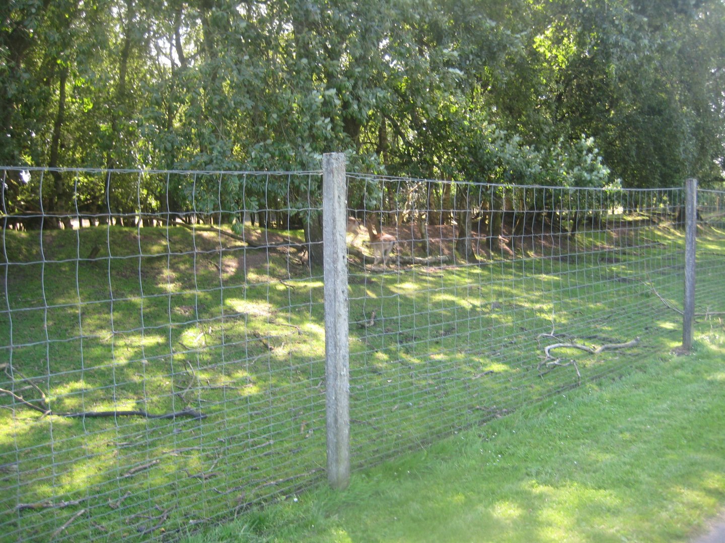 Arden Dyrepark - Deer exhibit #2