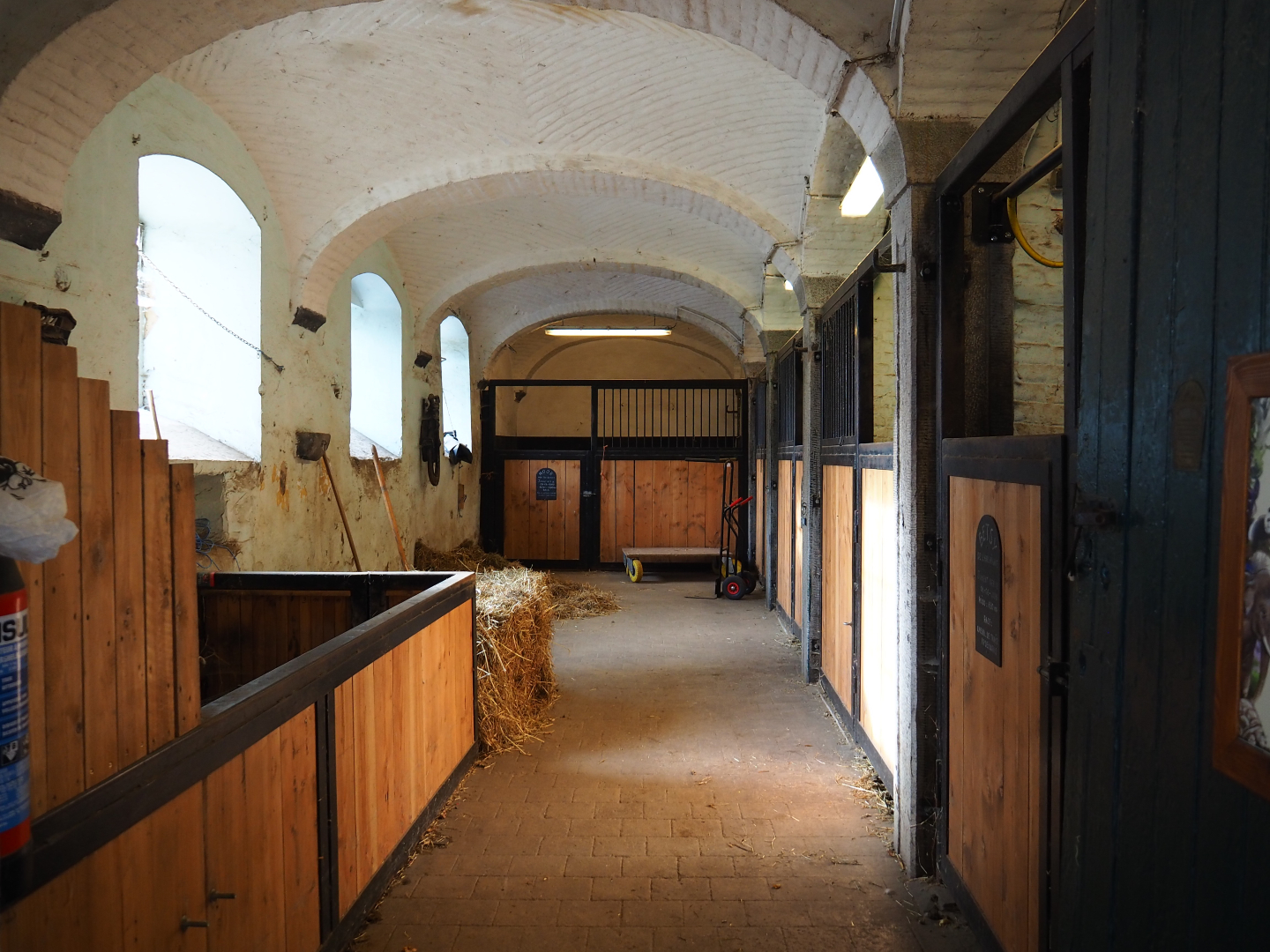 Ardennais draft horses and farm animal stables, 2019-10-04