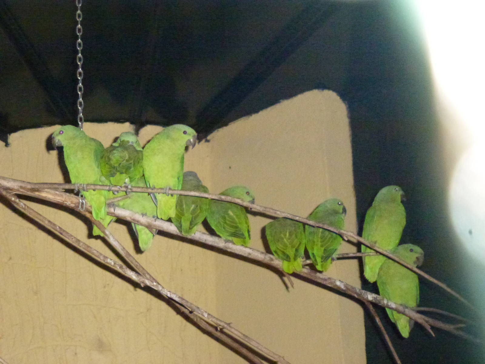 Are these what I think they are? November 2013.