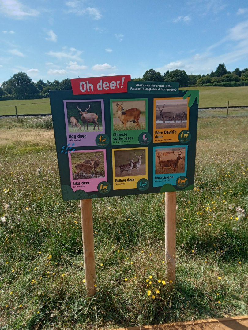 ARE WE REALLY SURE THERES BLACKBUCK??