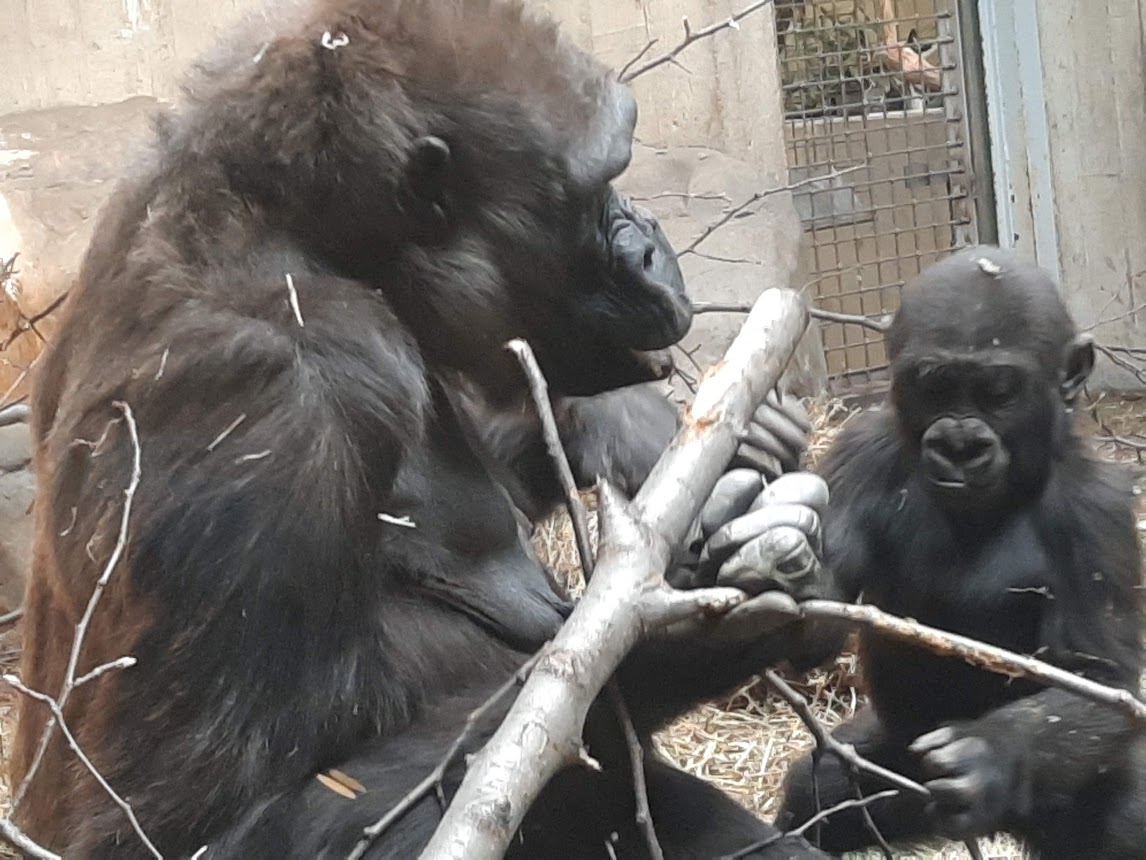 "Are you even listening to me young man?"