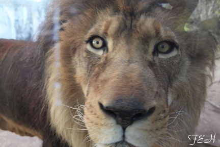 Are you looking at me?