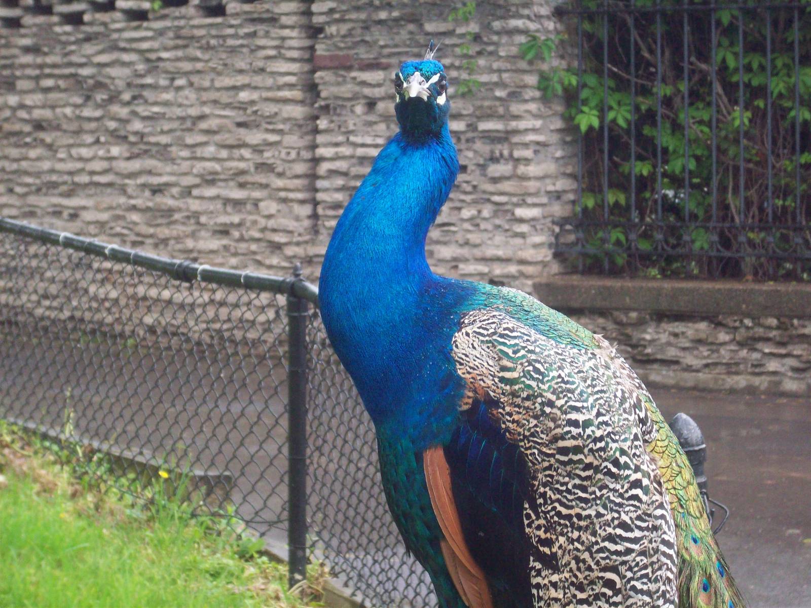 Are you looking at me?!