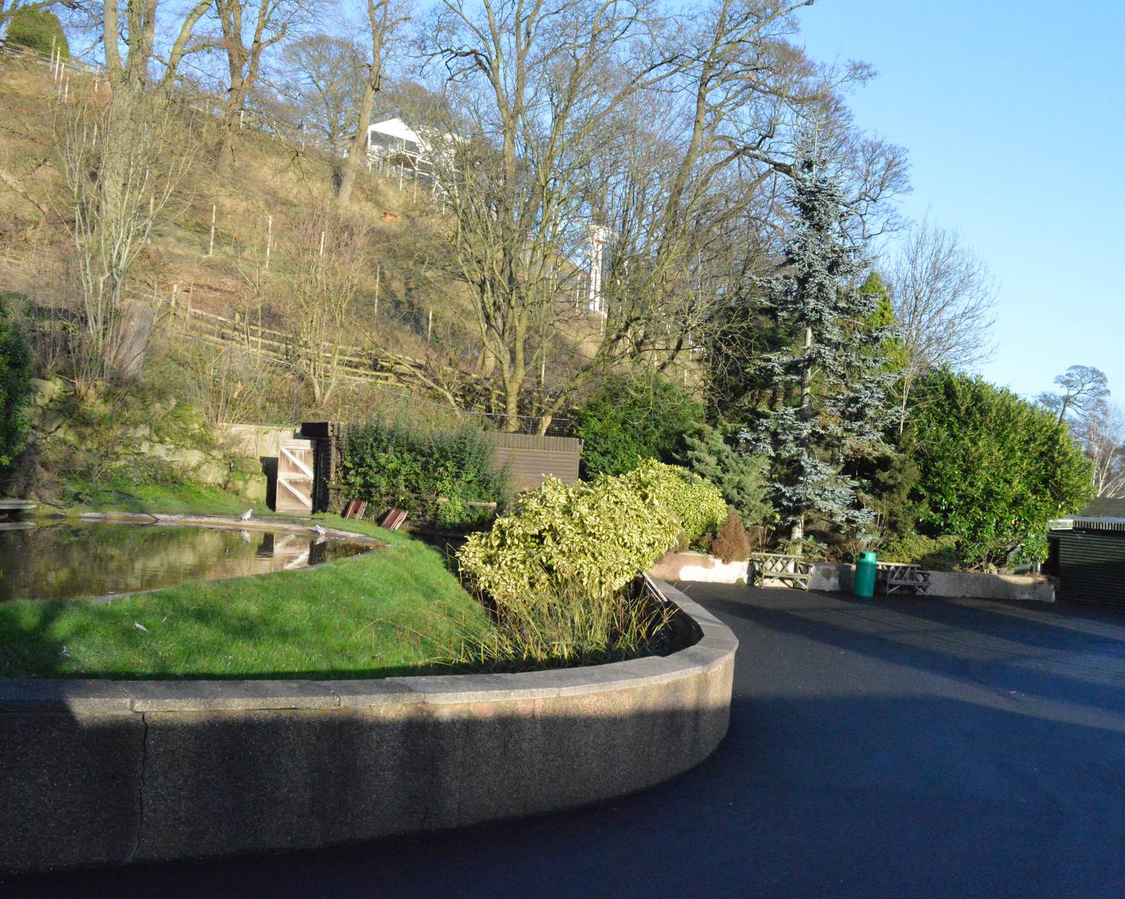 Area around flamingo pool