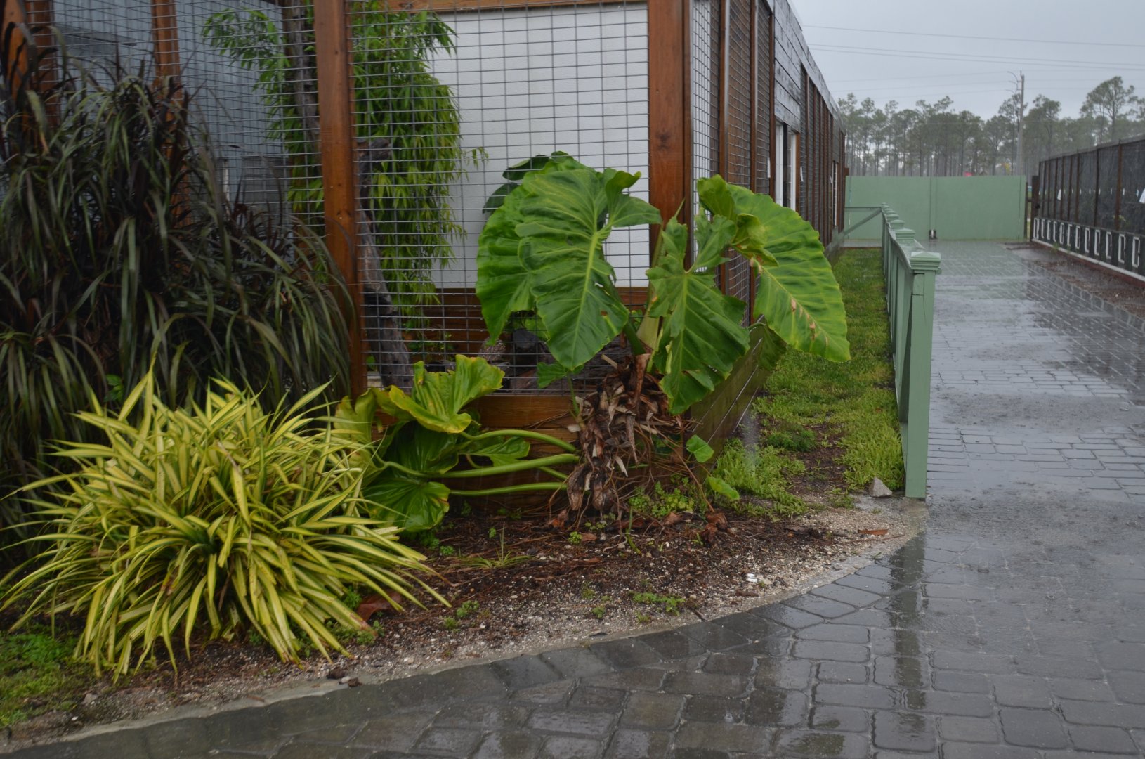 Area around Monitor Habitats