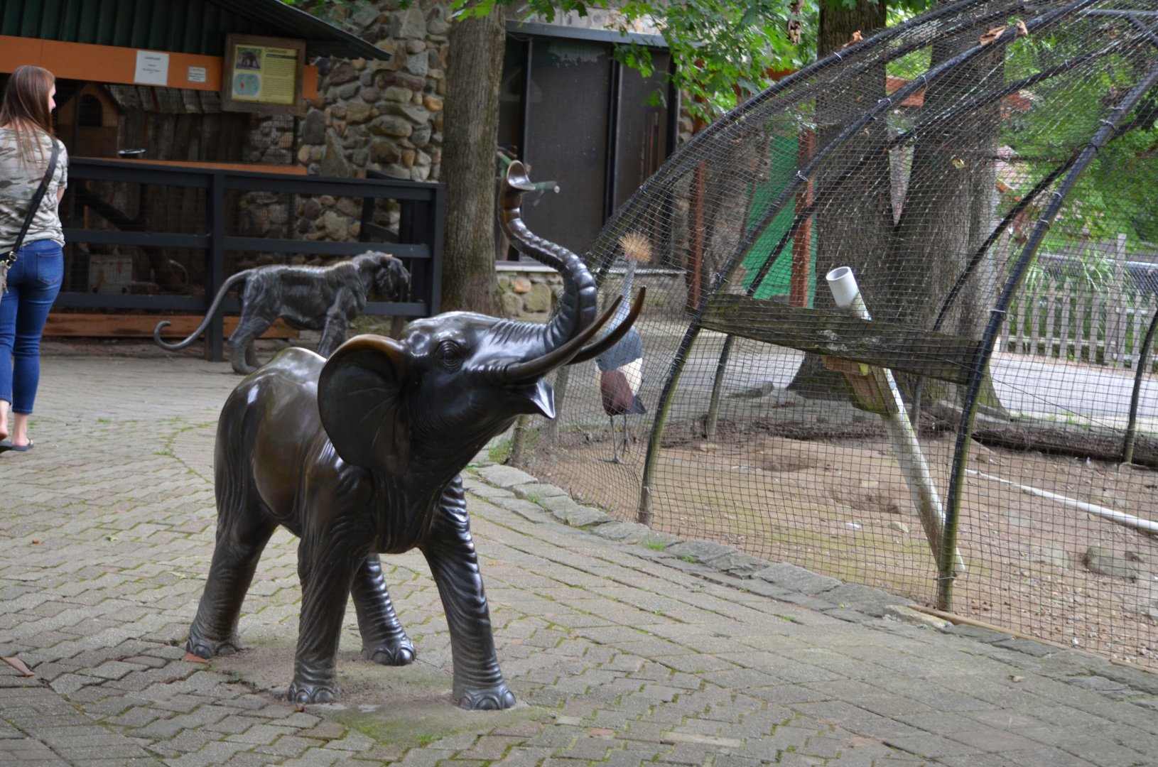 Area around the aviaries.