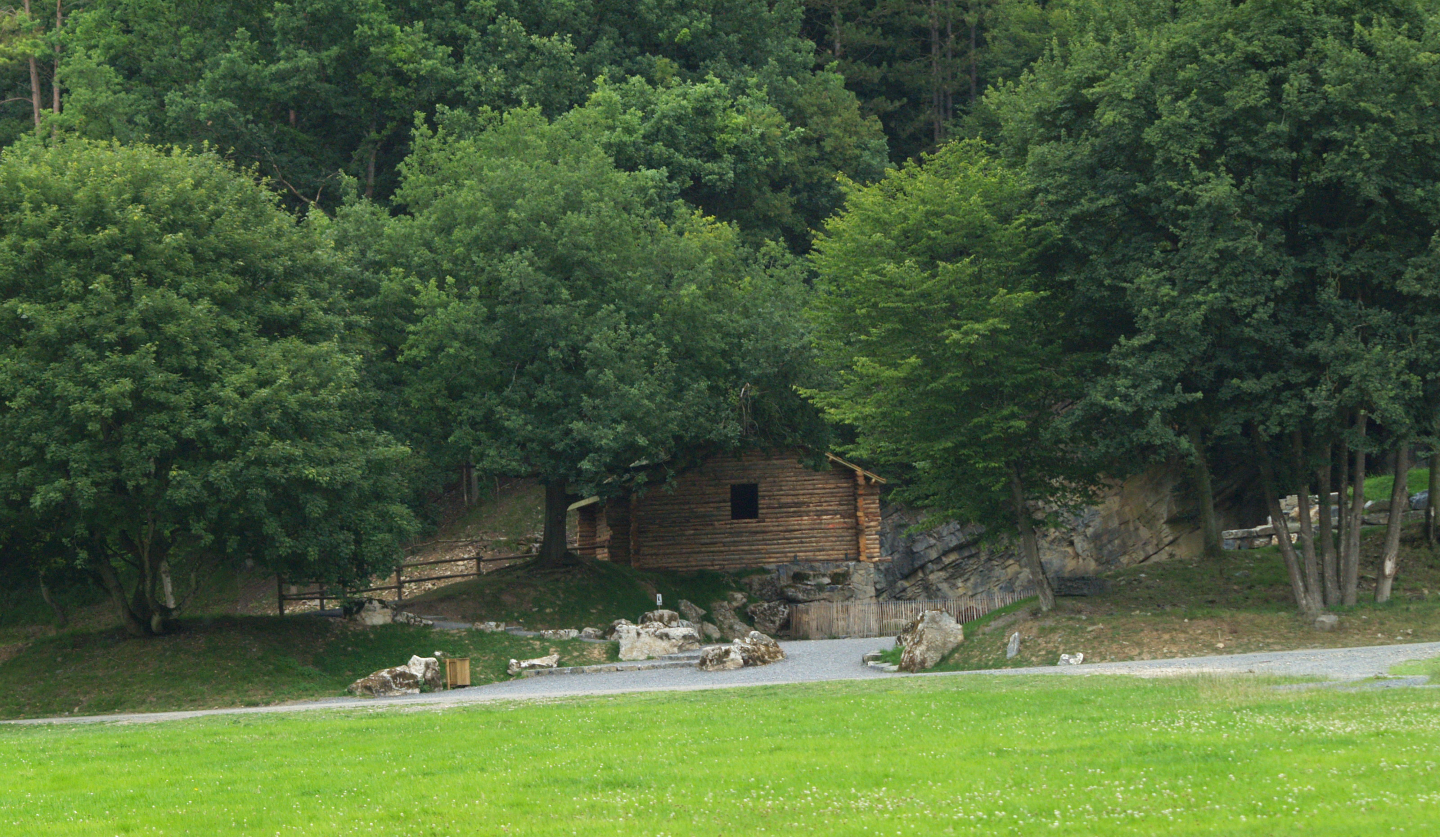 Area around the Eurasian brown bear exhibit, 2008-08-02
