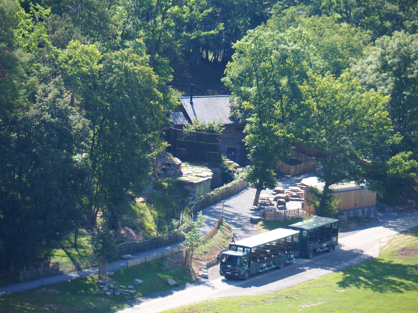 Area around the oldest Eurasian brown bear exhibit, 2020-07-12