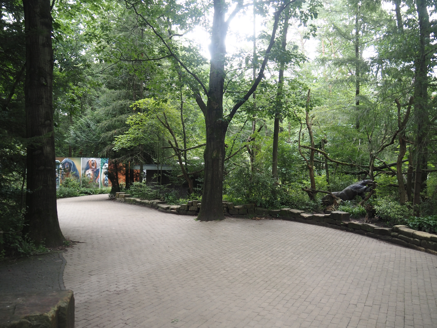 Area behind the gibbon house, formerly a walk-through area with South American monkeys, 2024-08-18