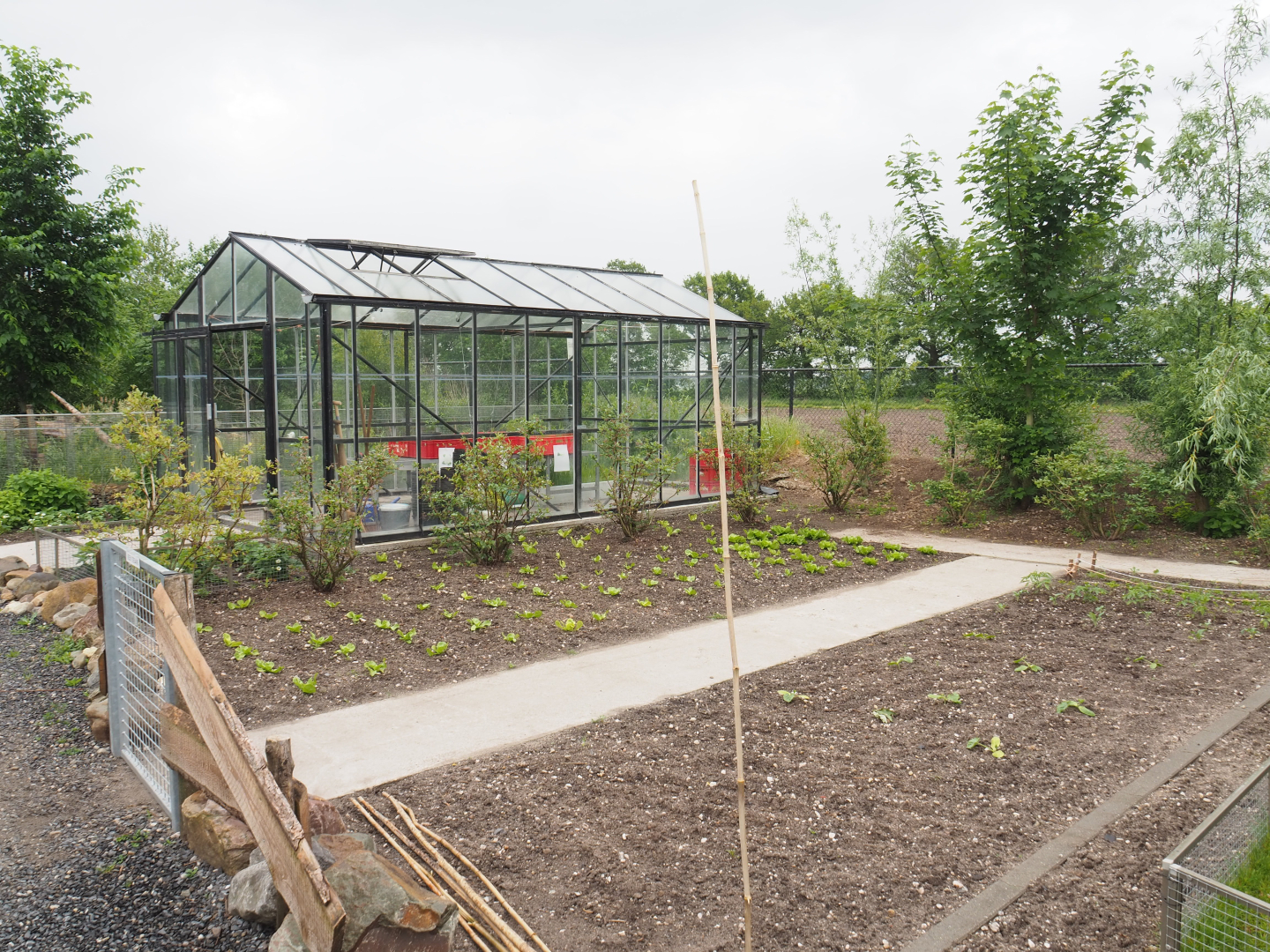 Area for autistic staff members - Vegetable and herb garden and greenhouse, 2022-05-17