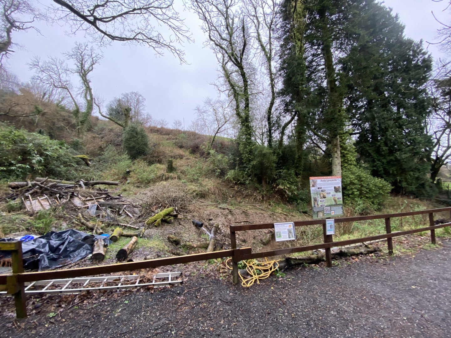 Area for new Amur leopard enclosure 170224