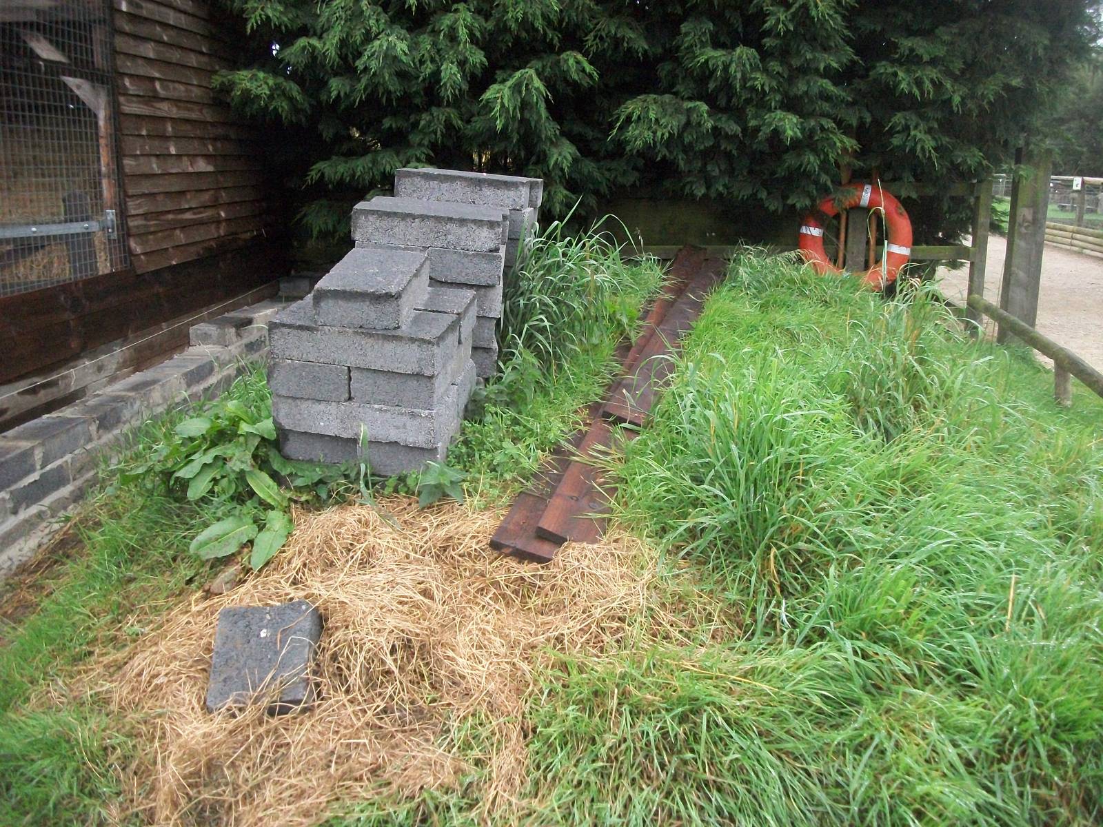 Area for new pond with underwater viewing, 6th September 2014