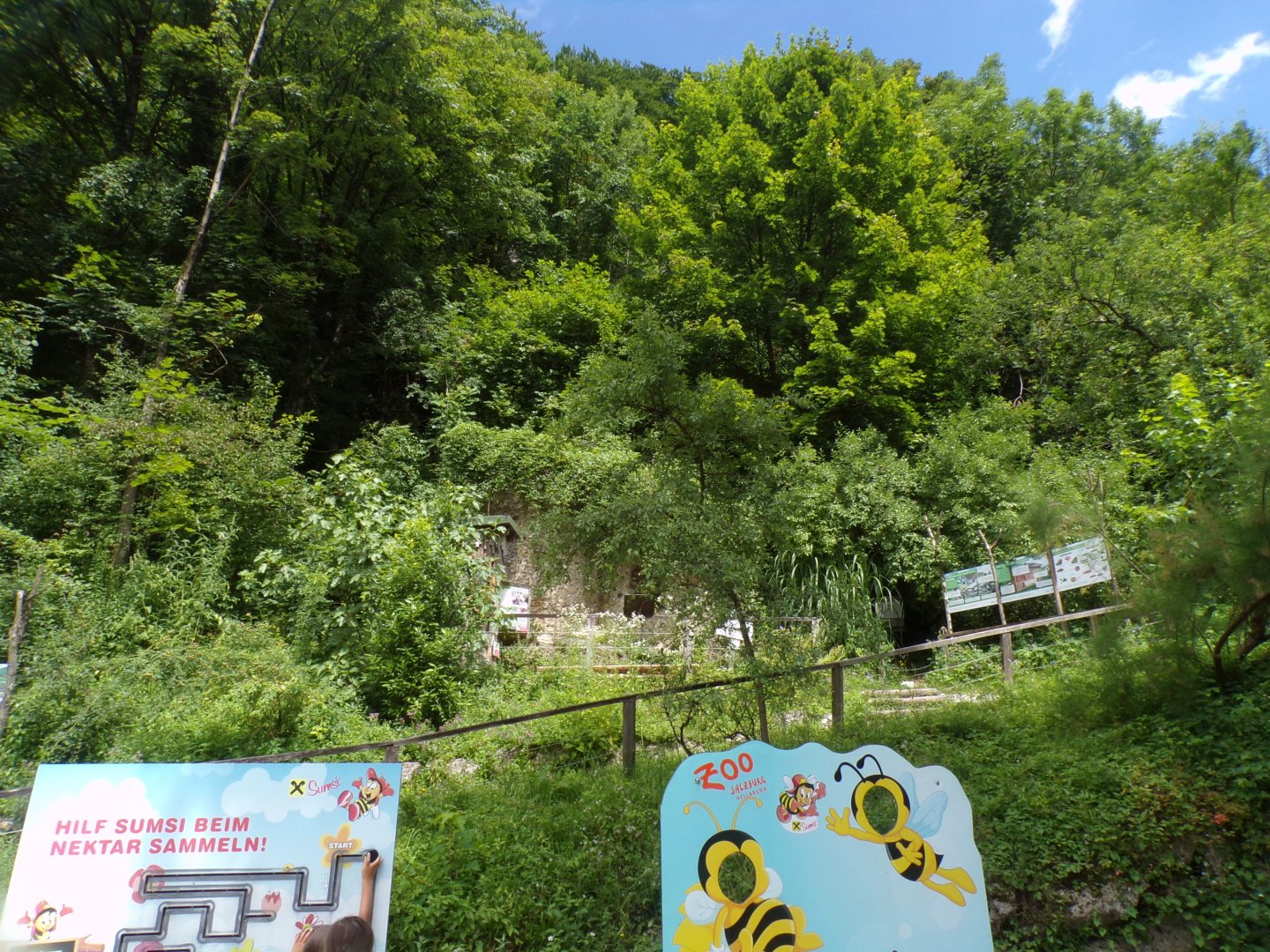 Area for wild bees 13.7.25