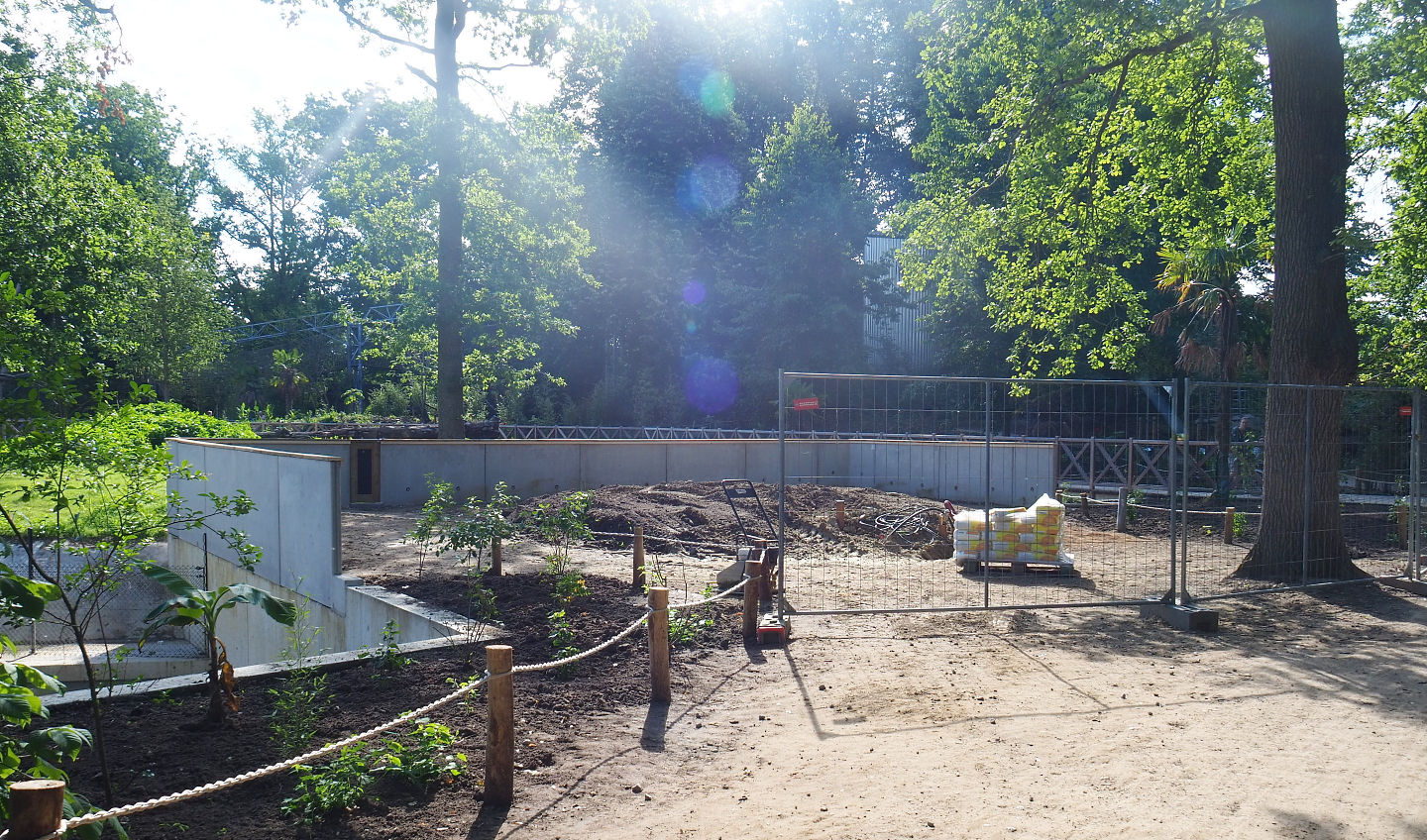 Area next to island not connected to Asian greenhouse - Future viewing area or future indoor exhibit? - 2022-07-03