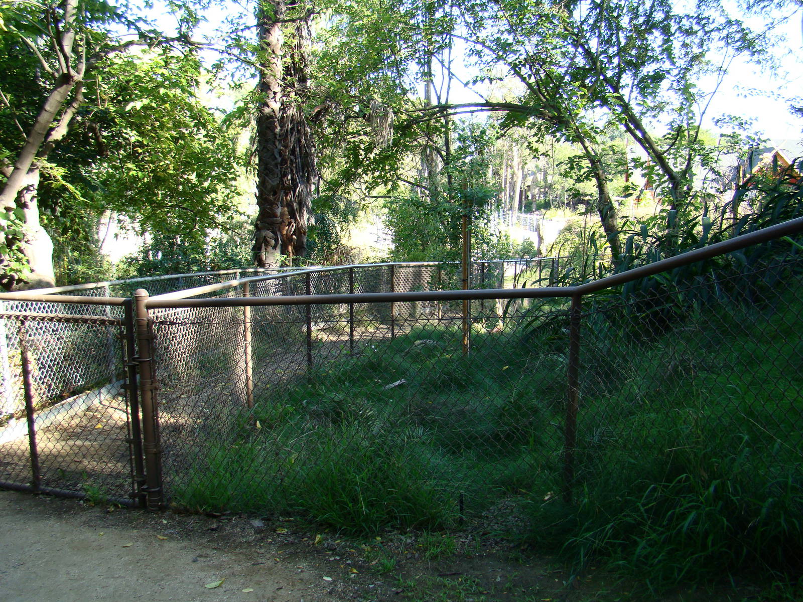 Area next to Sichuan Takin