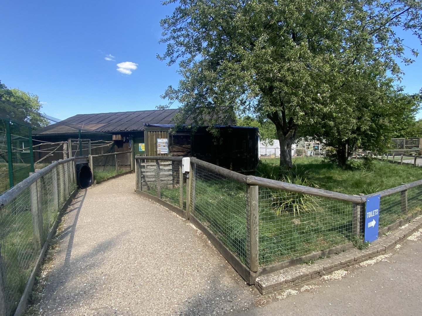 Area occupied by Red-footed tortoises 090525