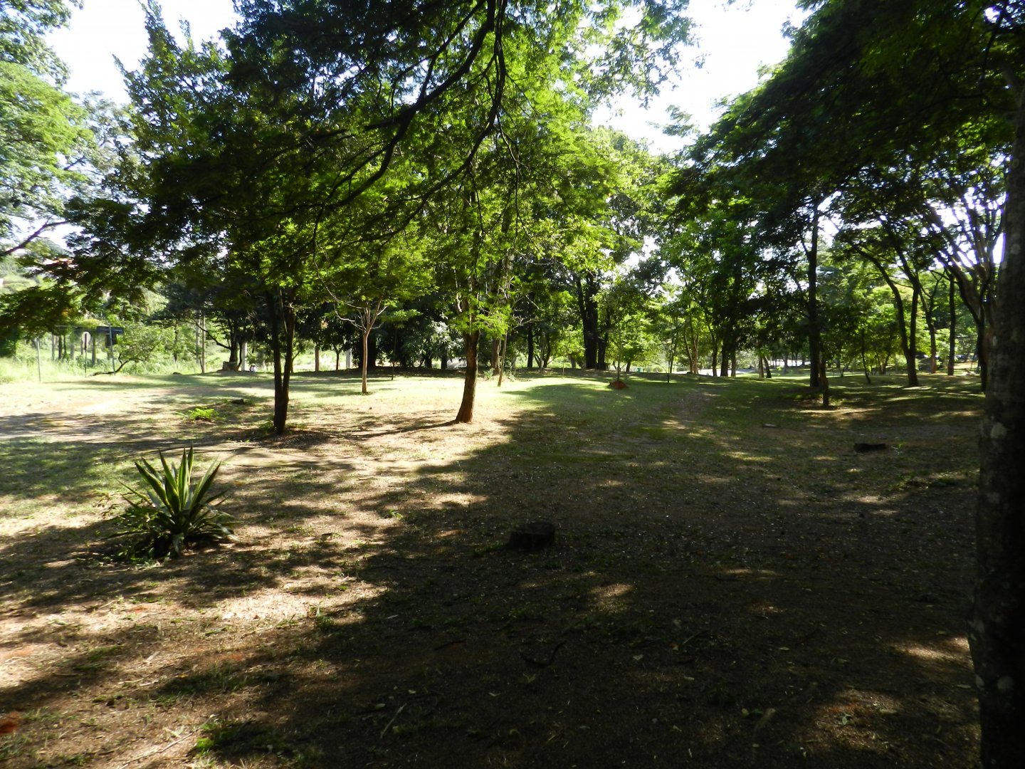 Area of the former reptile house - Belo Horizonte zoo