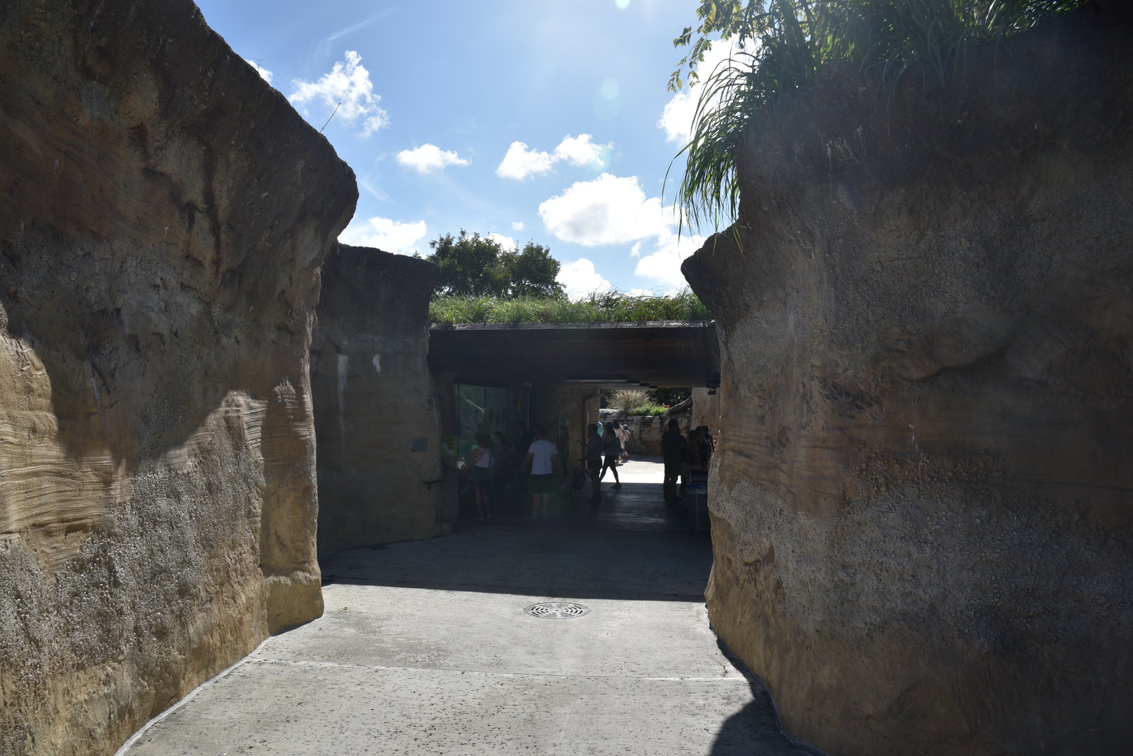 Area to the NARO / American Crocodile