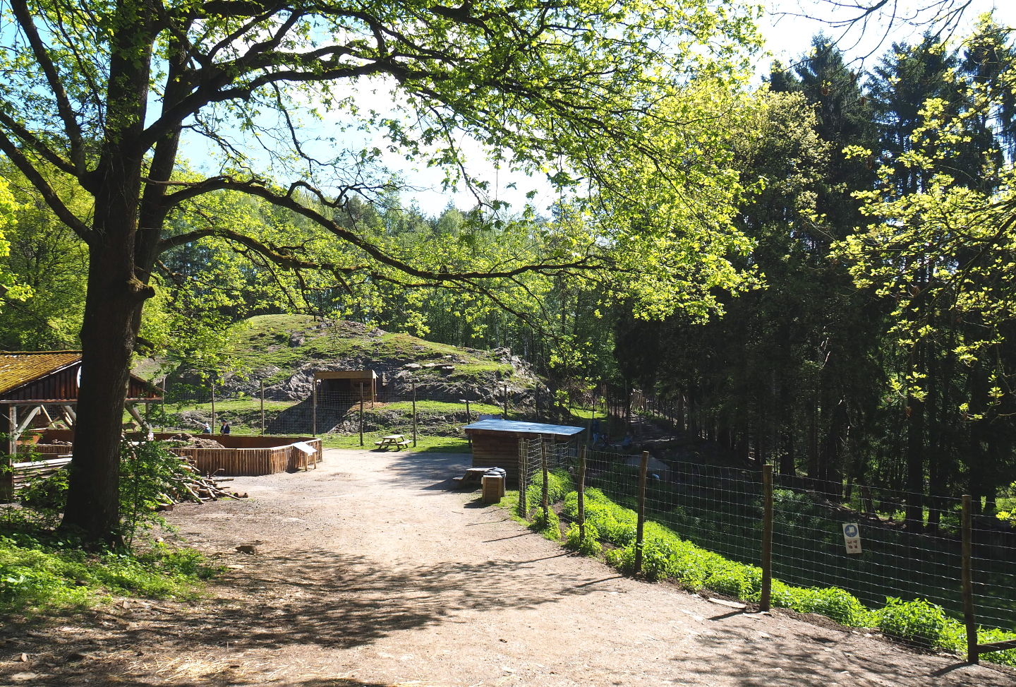 Area with Alpine species exhibits, 2021-05-29