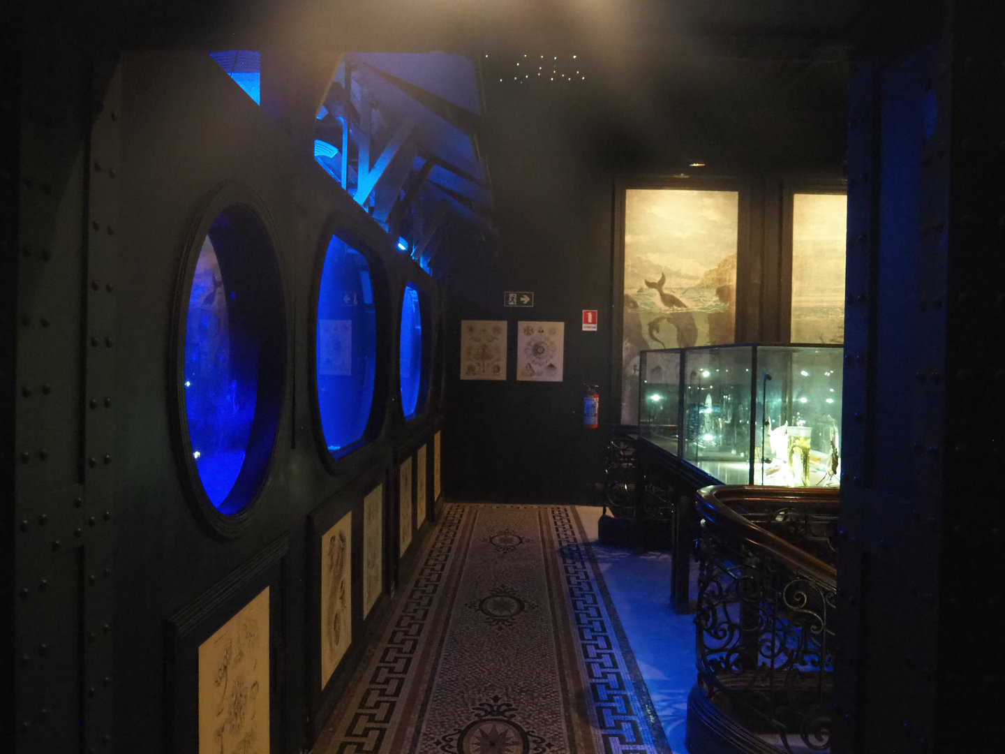 Area with jellyfish tanks and specimen display cabinets, 2022-09-14