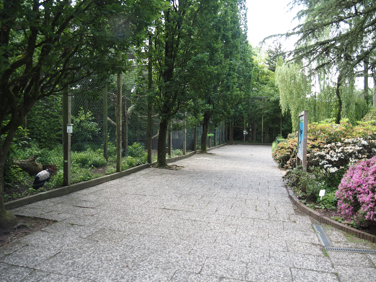 Area with raptor aviaries, 2024-05-24