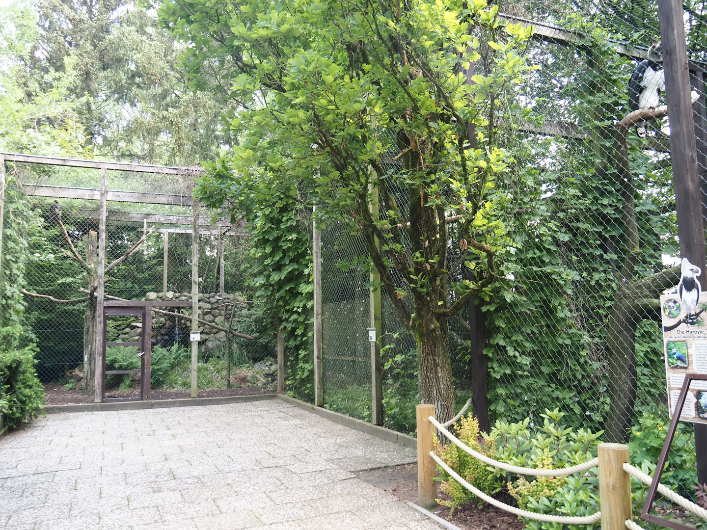 Area with raptor aviaries, 2024-05-24