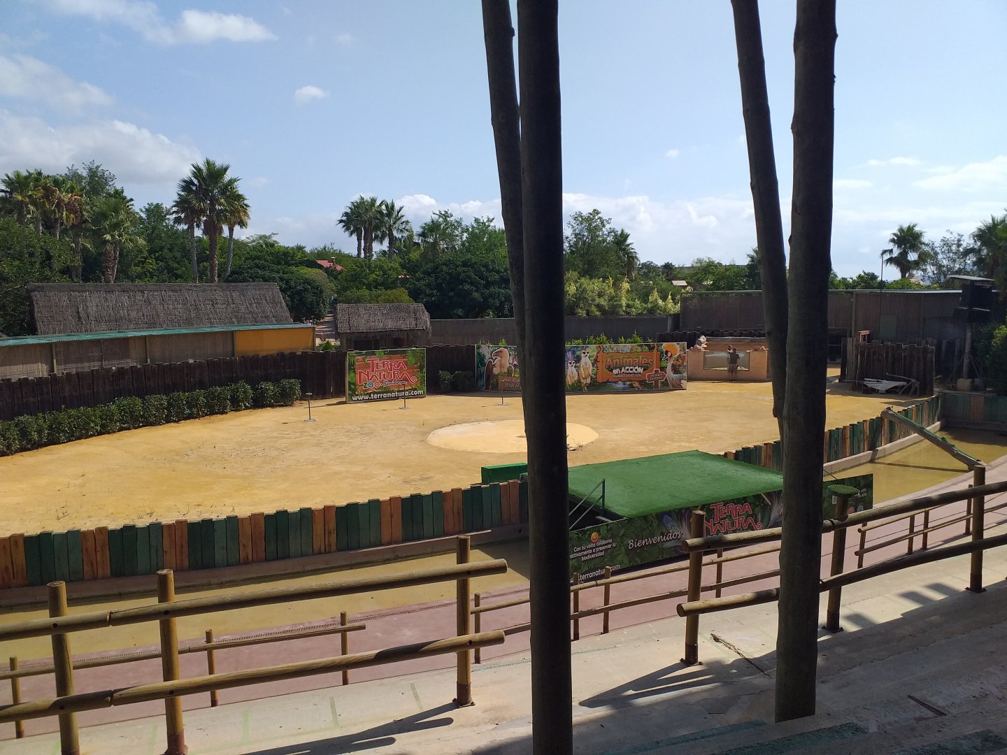 Arena -TerraNatura Benidorm (2021)