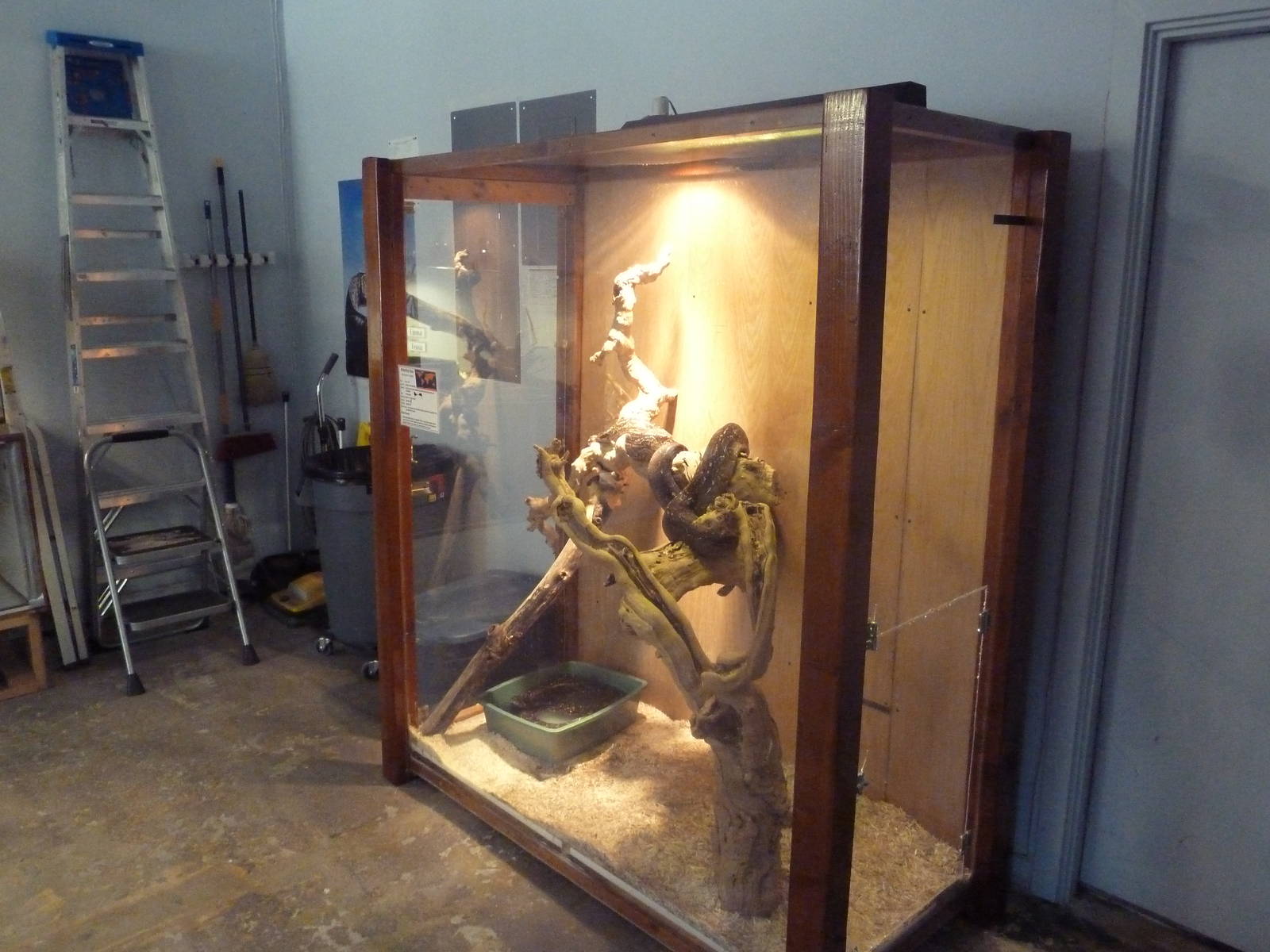 Argentine Boa Exhibit