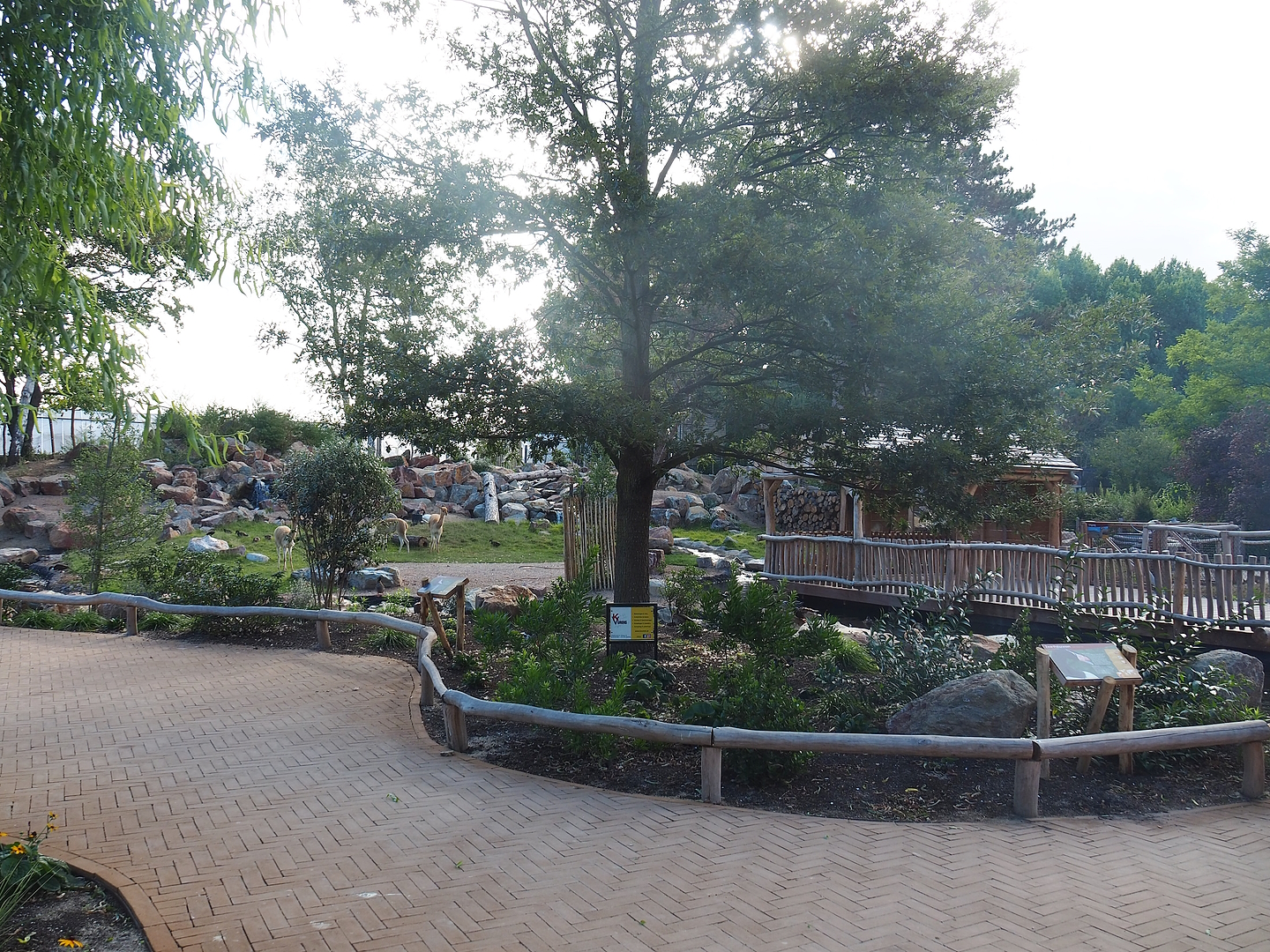 Argentine Cerrado exhibit, 2022-08-28