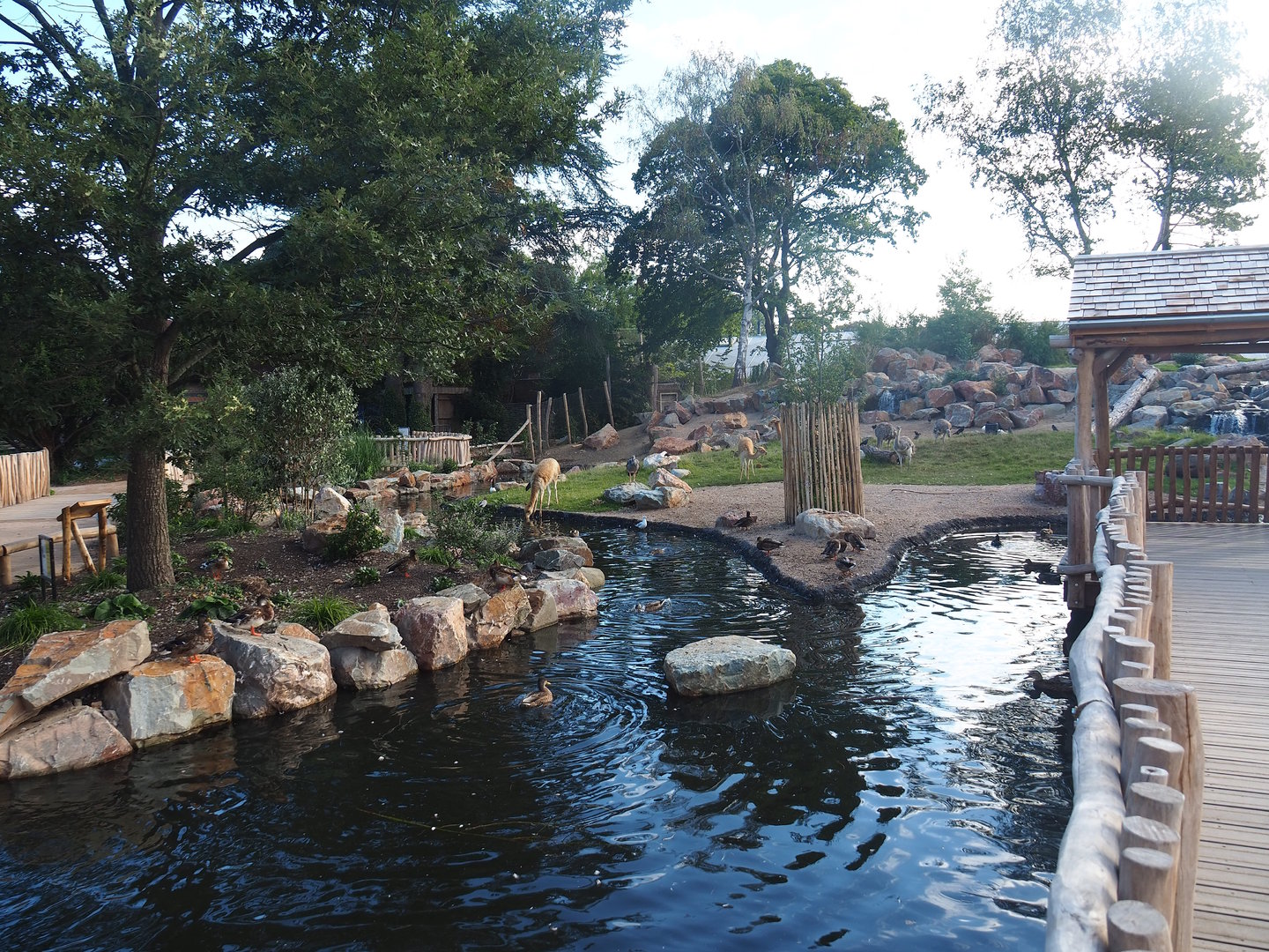 Argentine Cerrado exhibit, 2022-08-28