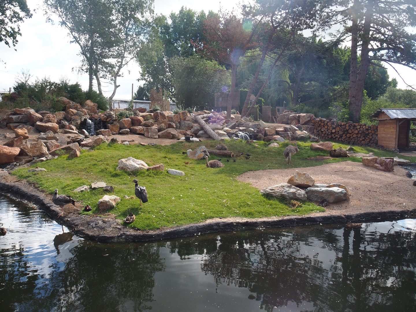 Argentine Cerrado exhibit, 2022-08-28