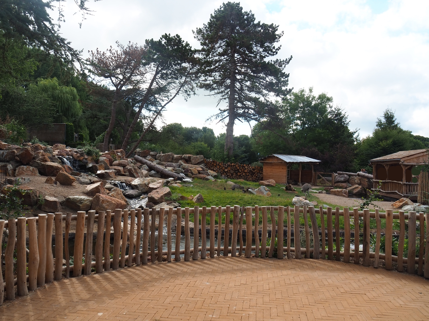 Argentine Cerrado exhibit, 2022-08-28