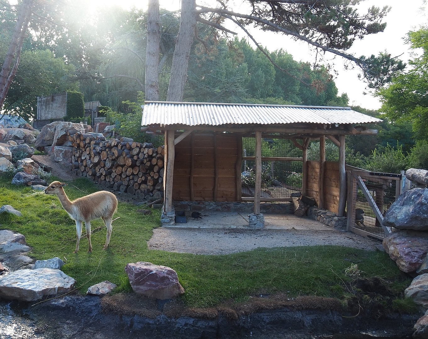 Argentine Cerrado exhibit shelter, 2022-08-28