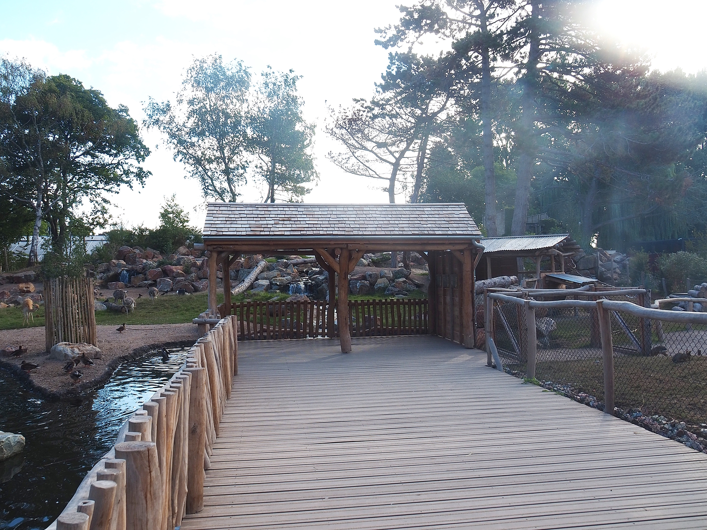 Argentine Cerrado exhibit viewing area, 2022-08-28