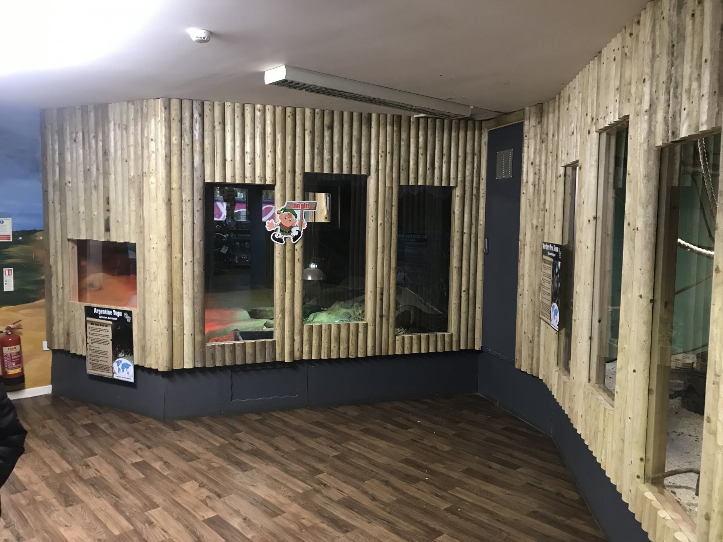 Argentine tegu exhibit 241118