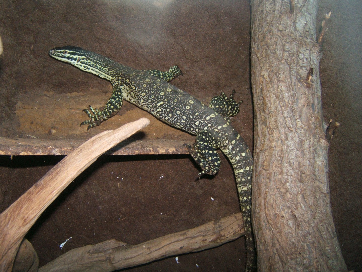 Argus Monitor 27/08/2017