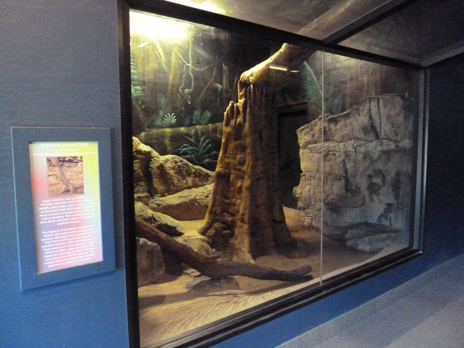 Argus Monitor Exhibit